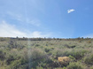 Photo 3 for 2575  Serviceberry Dr