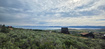 Photo 2 for 2575  Serviceberry Dr