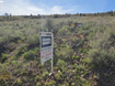 Photo 1 for 2575  Serviceberry Dr