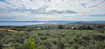 Photo 3 for 2575  Serviceberry Dr