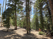 Photo 6 for 5825 W Zion Vista Rd