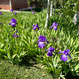 Photo 6 for 308 S 2050 W