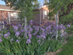 Photo 6 for 308 S 2050 W