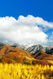 Photo 3 for 2564 N 2600 E