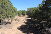Photo 4 for 17768  Harmony Ln