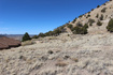 Photo 5 for 1380 S Knoll