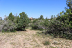 Photo 4 for 2267 S High Mountain Dr