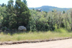 Photo 6 for 2289 S High Mountain Dr