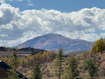 Photo 4 for 3864 Aspen Loop