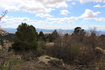 Photo 2 for 1133 E High Mountain View Cirlce