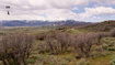 Photo 6 for 9069  Cottonwood Trl