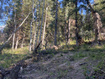 Photo 5 for 741 W Forgotten Ln