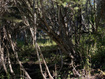 Photo 6 for 741 W Forgotten Ln