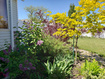 Photo 6 for 7487 W Olive Brook Dr