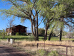 Photo 2 for 5600 W Bluebell Rd
