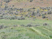 Photo 5 for 8400 N Treasureton 1600