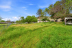 Photo 6 for 871 N Bonita Way