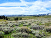 Photo 1 for 1664  Mill Canyon Rd
