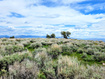 Photo 5 for 1664  Mill Canyon Rd