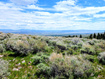 Photo 6 for 1664  Mill Canyon Rd