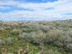 Photo 4 for 1664  Mill Canyon Rd