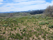 Photo 6 for 4005 Mill Canyon Rd
