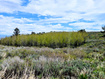 Photo 3 for 4005 Mill Canyon Rd
