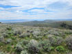 Photo 4 for 4005 Mill Canyon Rd