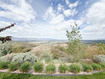 Photo 2 for 14596 S Sunset Dunes Way #236
