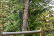 Photo 5 for 110  Paradise Rd