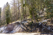 Photo 2 for 395 Matterhorn Dr