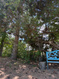 Photo 5 for 90 W Cherry St