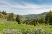 Photo 3 for 40 Sunridge Rnch