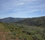 Photo 5 for 3325 N Oak Cyn