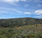 Photo 2 for 3325 N Oak Cyn