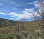 Photo 5 for 3325 N Oak Cyn