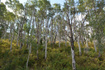Photo 4 for 266 Sunridge - Tax Id 230130266