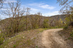 Photo 5 for 1212 N Aspen Dr
