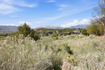 Photo 6 for 2884 E Brown Duck Cir
