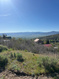 Photo 2 for 1391 W Lucerne Dr
