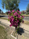 Photo 2 for 367  Hawthorne Dr