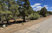 Photo 2 for 793 S Zion Dr