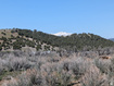 Photo 3 for 11799  Cove Creek Rd