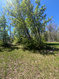 Photo 4 for 466 N Oakwood Dr