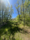 Photo 6 for 466 N Oakwood Dr