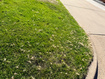 Photo 6 for 3462  Eccles Ave