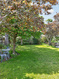 Photo 6 for 6649 S Verano Cir