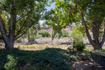 Photo 6 for 439 W Williams Way