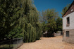Photo 6 for 161 E Kambouris Ln