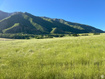 Photo 2 for 504 E Mapleton Canyon Dr